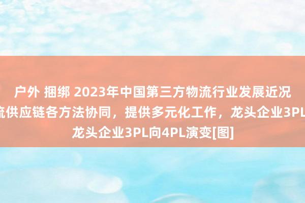 户外 捆绑 2023年中国第三方物流行业发展近况分析：加强物流供应链各方法协同，提供多元化工作，龙头企业3PL向4PL演变[图]