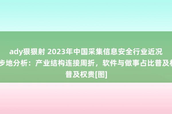 ady狠狠射 2023年中国采集信息安全行业近况及竞争步地分析：产业结构连接周折，软件与做事占比普及权贵[图]