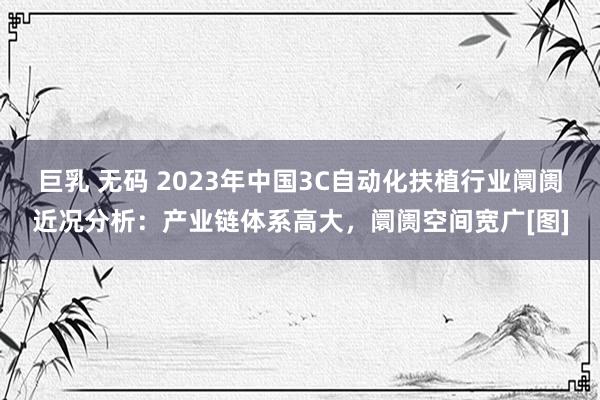 巨乳 无码 2023年中国3C自动化扶植行业阛阓近况分析：产业链体系高大，阛阓空间宽广[图]