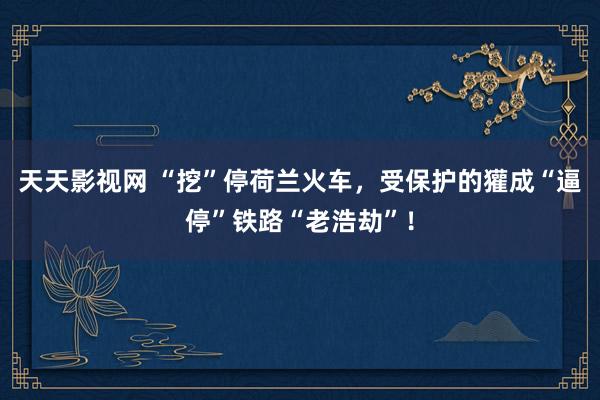 天天影视网 “挖”停荷兰火车，受保护的獾成“逼停”铁路“老浩劫”！