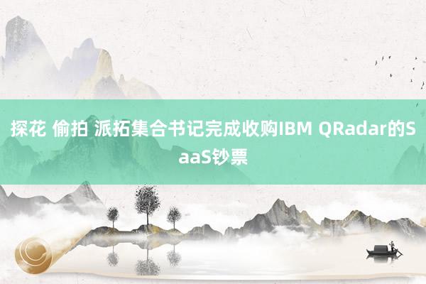 探花 偷拍 派拓集合书记完成收购IBM QRadar的SaaS钞票