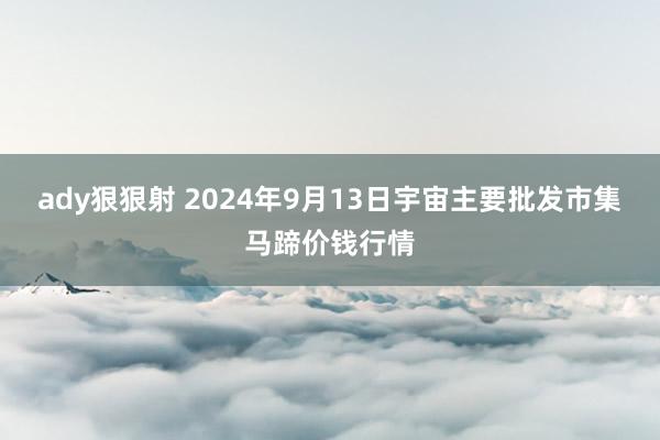 ady狠狠射 2024年9月13日宇宙主要批发市集马蹄价钱行情