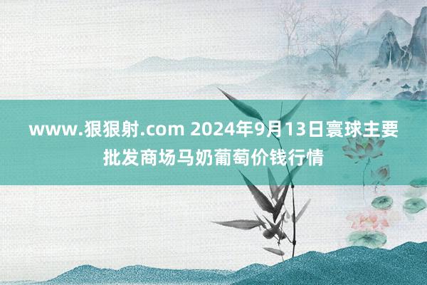 www.狠狠射.com 2024年9月13日寰球主要批发商场马奶葡萄价钱行情