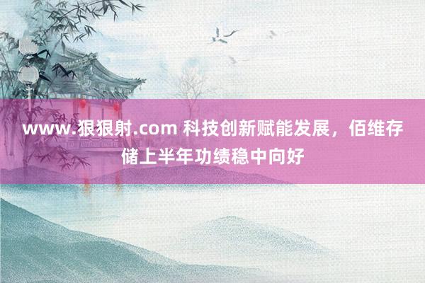 www.狠狠射.com 科技创新赋能发展，佰维存储上半年功绩稳中向好