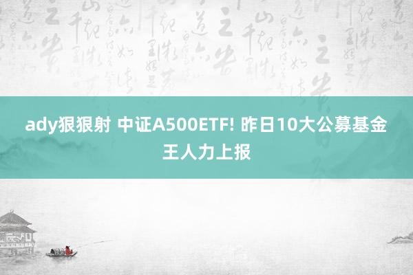 ady狠狠射 中证A500ETF! 昨日10大公募基金王人力上报