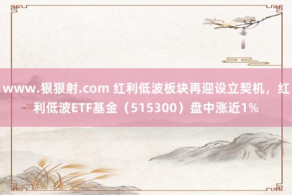 www.狠狠射.com 红利低波板块再迎设立契机，红利低波ETF基金（515300）盘中涨近1%