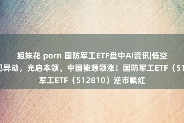 姐妹花 porn 国防军工ETF盘中AI资讯|低空经济、中船系意见异动，光启本领、中国能源领涨！国防军工ETF（512810）逆市飘红