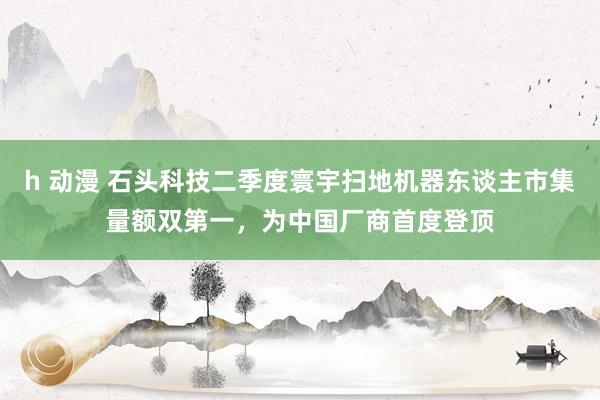 h 动漫 石头科技二季度寰宇扫地机器东谈主市集量额双第一，为中国厂商首度登顶