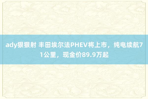 ady狠狠射 丰田埃尔法PHEV将上市，纯电续航71公里，现金价89.9万起