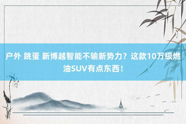 户外 跳蛋 新博越智能不输新势力？这款10万级燃油SUV有点东西！