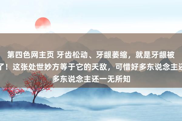 第四色网主页 牙齿松动、牙龈萎缩，就是牙龈被胃火蒸软了！这张处世妙方等于它的天敌，可惜好多东说念主还一无所知