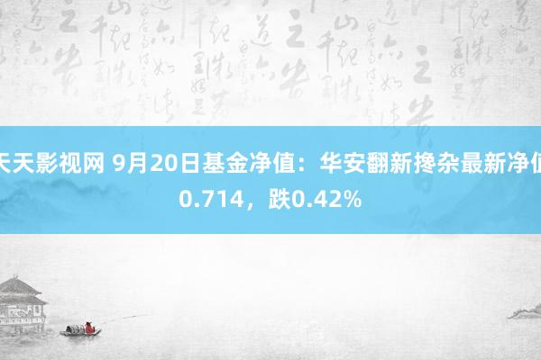 天天影视网 9月20日基金净值：华安翻新搀杂最新净值0.714，跌0.42%