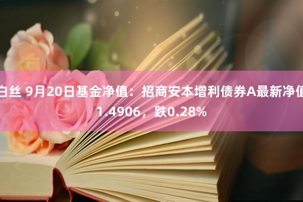 白丝 9月20日基金净值：招商安本增利债券A最新净值1.4906，跌0.28%