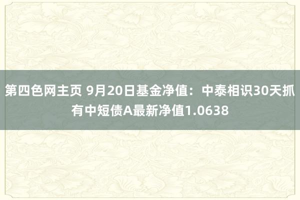 第四色网主页 9月20日基金净值：中泰相识30天抓有中短债A最新净值1.0638