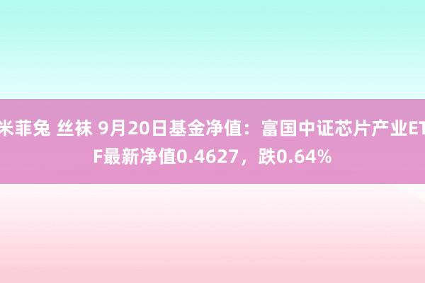 米菲兔 丝袜 9月20日基金净值：富国中证芯片产业ETF最新净值0.4627，跌0.64%