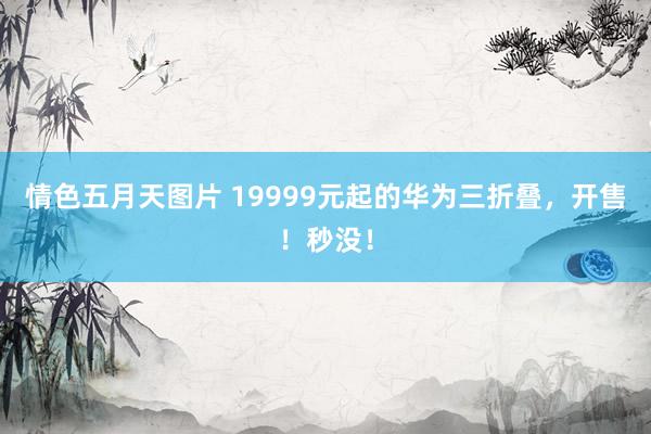 情色五月天图片 19999元起的华为三折叠，开售！秒没！