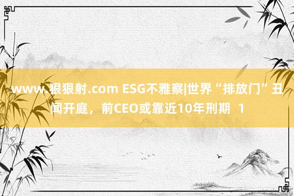 www.狠狠射.com ESG不雅察|世界“排放门”丑闻开庭，前CEO或靠近10年刑期  1