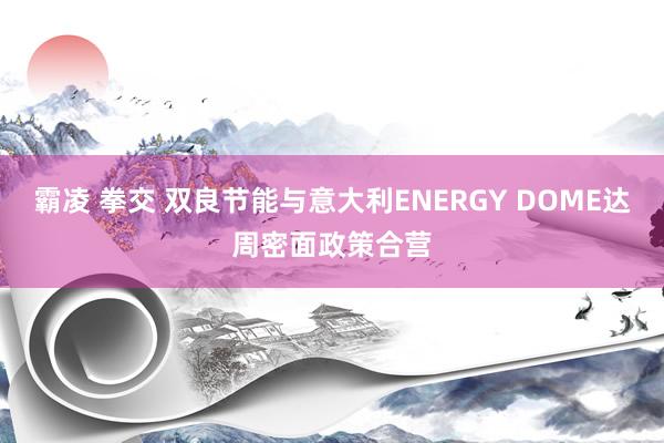 霸凌 拳交 双良节能与意大利ENERGY DOME达周密面政策合营