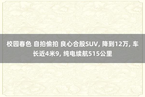 校园春色 自拍偷拍 良心合股SUV， 降到12万， 车长近4米9， 纯电续航515公里