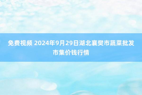 免费视频 2024年9月29日湖北襄樊市蔬菜批发市集价钱行情