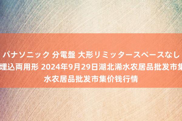 パナソニック 分電盤 大形リミッタースペースなし 露出・半埋込両用形 2024年9月29日湖北浠水农居品批发市集价钱行情