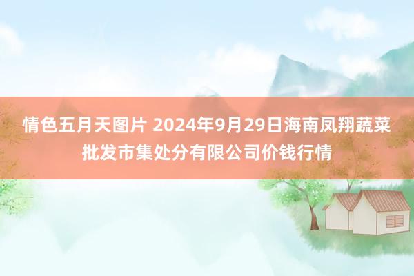 情色五月天图片 2024年9月29日海南凤翔蔬菜批发市集处分有限公司价钱行情