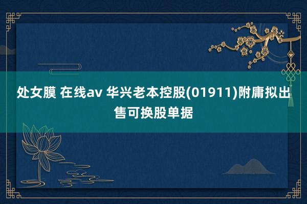 处女膜 在线av 华兴老本控股(01911)附庸拟出售可换股单据