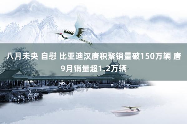 八月未央 自慰 比亚迪汉唐积聚销量破150万辆 唐9月销量超1.2万辆