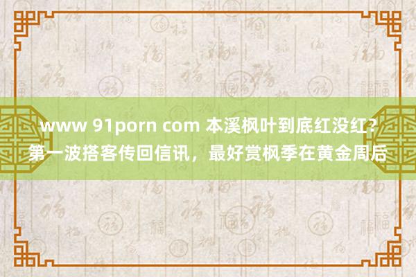 www 91porn com 本溪枫叶到底红没红？第一波搭客传回信讯，最好赏枫季在黄金周后