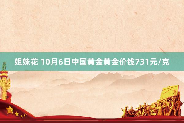 姐妹花 10月6日中国黄金黄金价钱731元/克