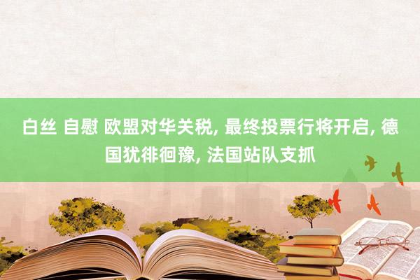 白丝 自慰 欧盟对华关税， 最终投票行将开启， 德国犹徘徊豫， 法国站队支抓