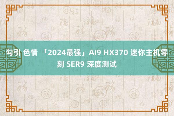 勾引 色情 「2024最强」AI9 HX370 迷你主机零刻 SER9 深度测试