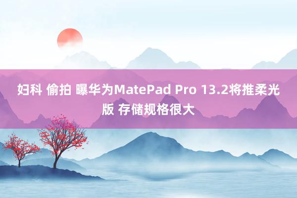 妇科 偷拍 曝华为MatePad Pro 13.2将推柔光版 存储规格很大