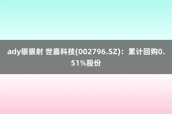 ady狠狠射 世嘉科技(002796.SZ)：累计回购0.51%股份