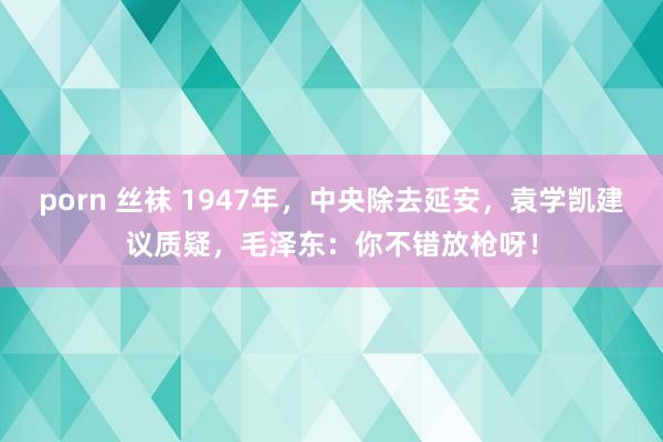 porn 丝袜 1947年，中央除去延安，袁学凯建议质疑，毛泽东：你不错放枪呀！