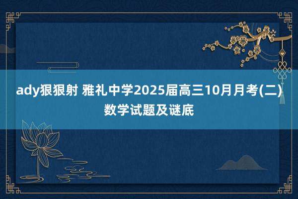 ady狠狠射 雅礼中学2025届高三10月月考(二)数学试题及谜底