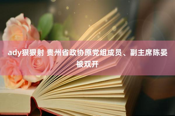 ady狠狠射 贵州省政协原党组成员、副主席陈晏被双开