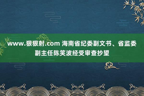 www.狠狠射.com 海南省纪委副文书、省监委副主任陈笑波经受审查抄望