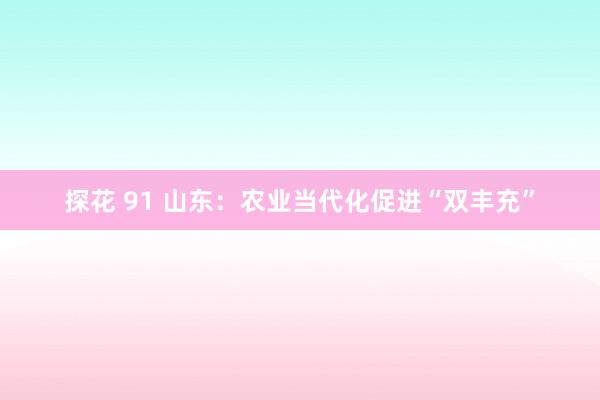 探花 91 山东：农业当代化促进“双丰充”