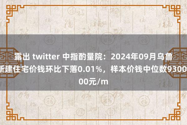 露出 twitter 中指酌量院：2024年09月乌鲁木皆新建住宅价钱环比下落0.01%，样本价钱中位数9300元/m