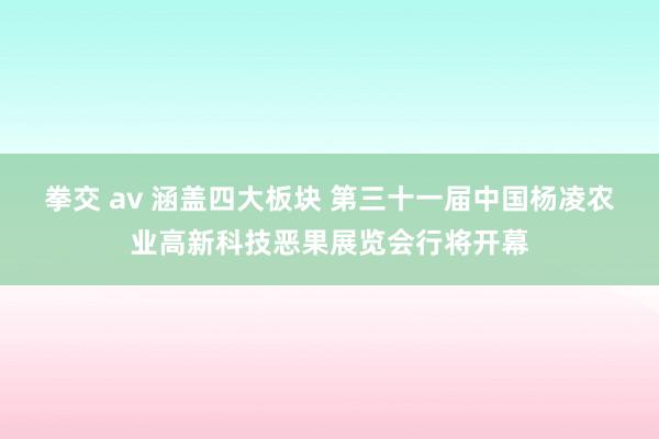 拳交 av 涵盖四大板块 第三十一届中国杨凌农业高新科技恶果展览会行将开幕