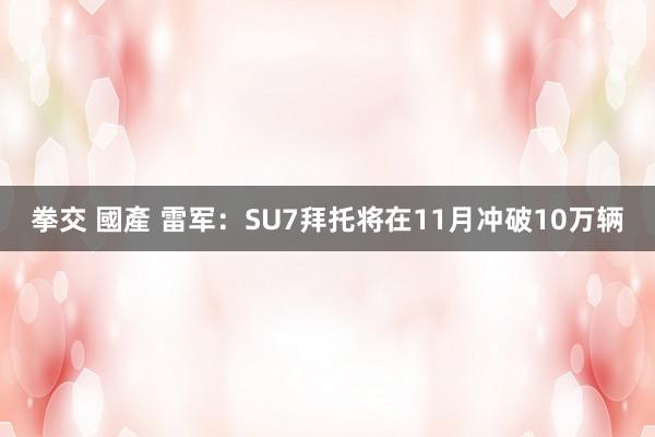 拳交 國產 雷军：SU7拜托将在11月冲破10万辆