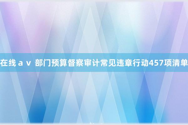 在线ａｖ 部门预算督察审计常见违章行动457项清单