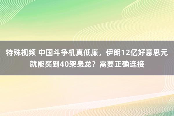 特殊视频 中国斗争机真低廉，伊朗12亿好意思元就能买到40架枭龙？需要正确连接