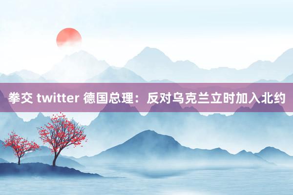 拳交 twitter 德国总理：反对乌克兰立时加入北约