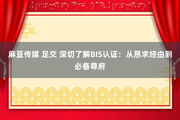 麻豆传媒 足交 深切了解BIS认证：从恳求经由到必备尊府