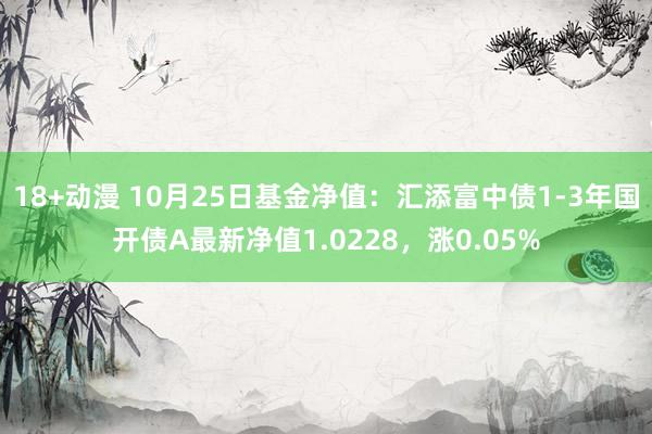 18+动漫 10月25日基金净值：汇添富中债1-3年国开债A最新净值1.0228，涨0.05%