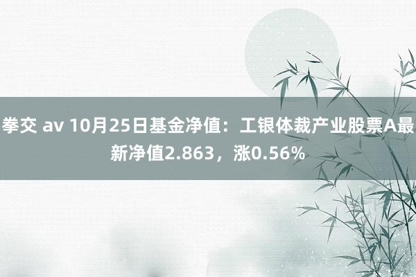 拳交 av 10月25日基金净值：工银体裁产业股票A最新净值2.863，涨0.56%