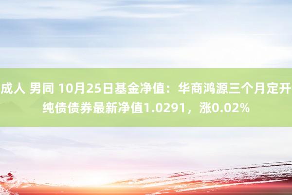 成人 男同 10月25日基金净值：华商鸿源三个月定开纯债债券最新净值1.0291，涨0.02%