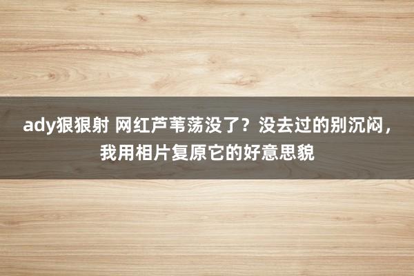 ady狠狠射 网红芦苇荡没了？没去过的别沉闷，我用相片复原它的好意思貌